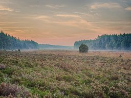 IMGP8687_HDR_Morgenstemning